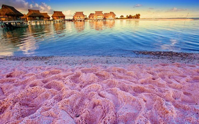 World's Influential Pink Sand 