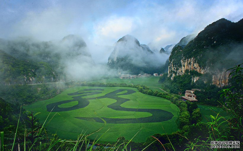 The world's largest plant landscape of Chinese characters(图1）