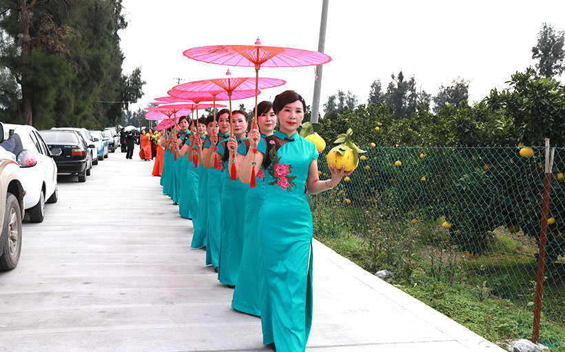 The biggest group wearing cheongsam while simultaneously picking pomelos(图3）