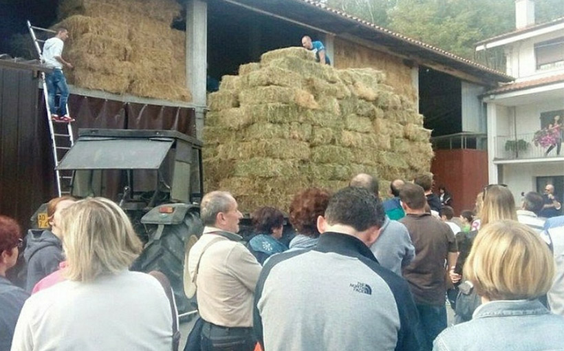 Most hay bales stacked on agricultural trailer(图1）