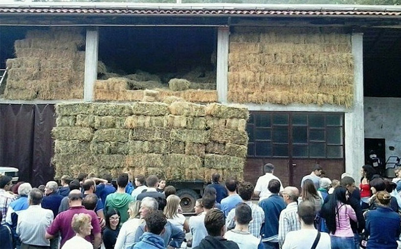 Most hay bales stacked on agricultural trailer(图2）