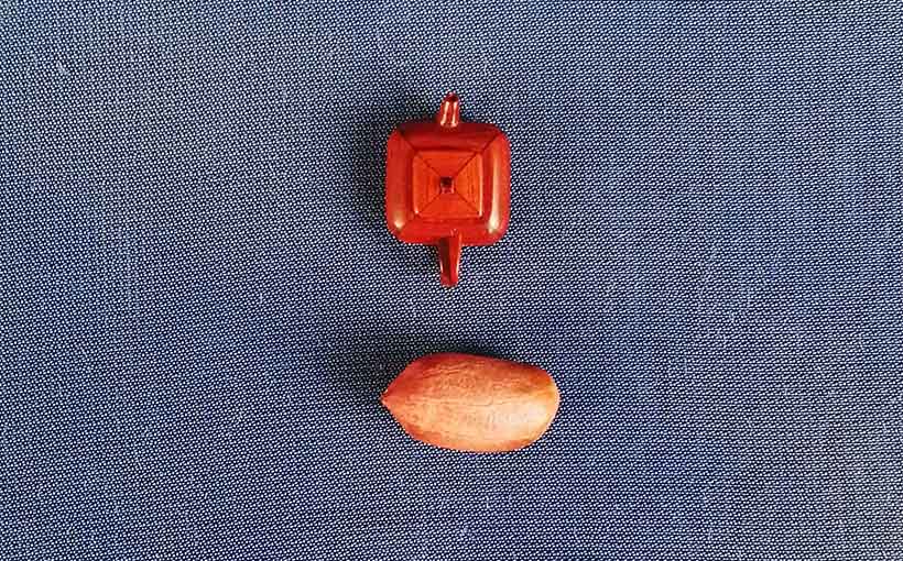 World's smallest woodchip-made teapot(图1）
