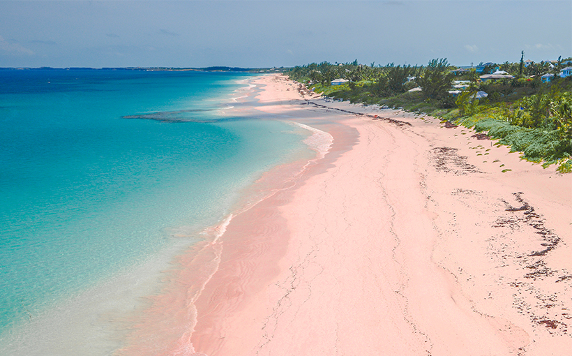 World's Influential Pink Sand Beaches（图1）