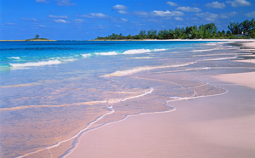World's Influential Pink Sand Beaches（图5）