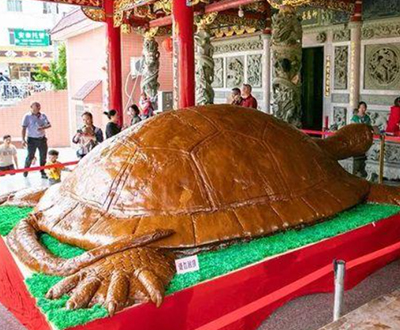 Turtle Rice Cake Largest turtle-shaped glutinous rice cake | World Record Certification